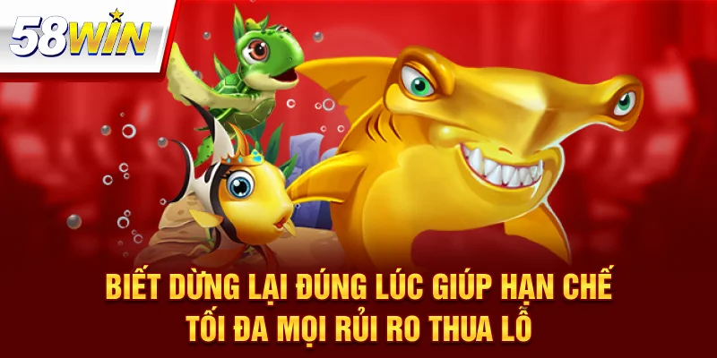 Quản Lý Vốn Khi Chơi Bắn Cá