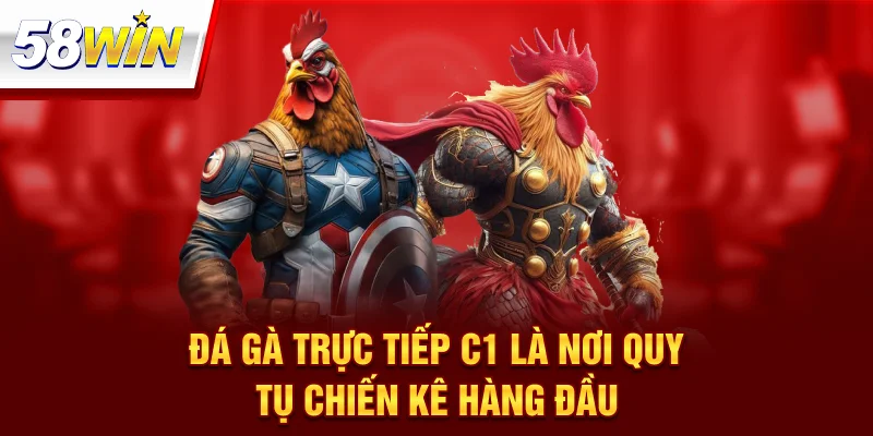 Đá gà trực tiếp C1