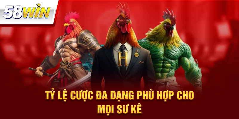 Đá Gà Trực Tiếp C1